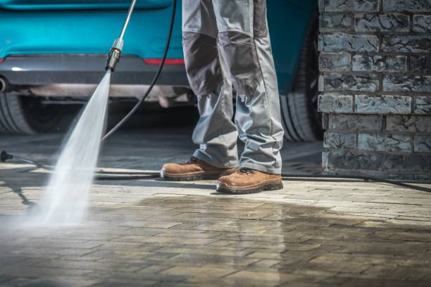 Best Parking Lot and Garage Cleaning  in Forrest, IL